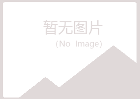 鞍山铁东女孩美容有限公司